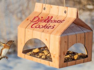 Birdhouse Cookies